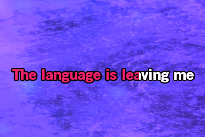 Language is Leaving Me